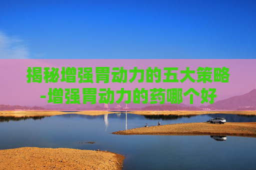 揭秘增强胃动力的五大策略-增强胃动力的药哪个好