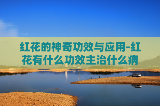 红花的神奇功效与应用-红花有什么功效主治什么病