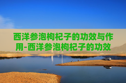 西洋参泡枸杞子的功效与作用-西洋参泡枸杞子的功效与作用男人