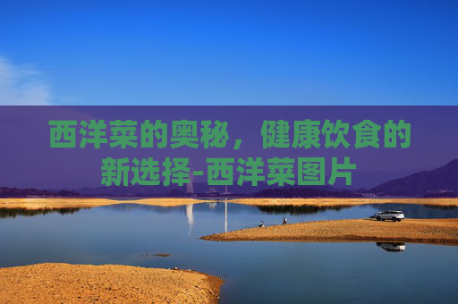 西洋菜的奥秘，健康饮食的新选择-西洋菜图片