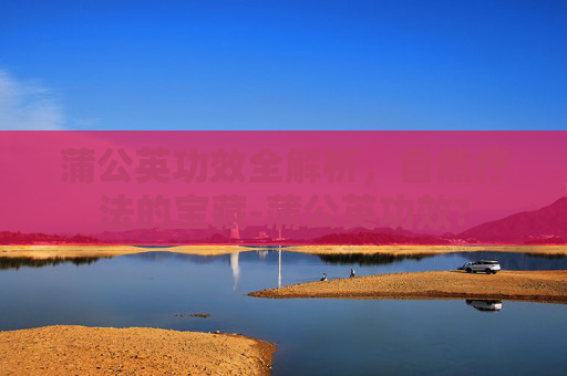 蒲公英功效全解析，自然疗法的宝藏-蒲公英功效?