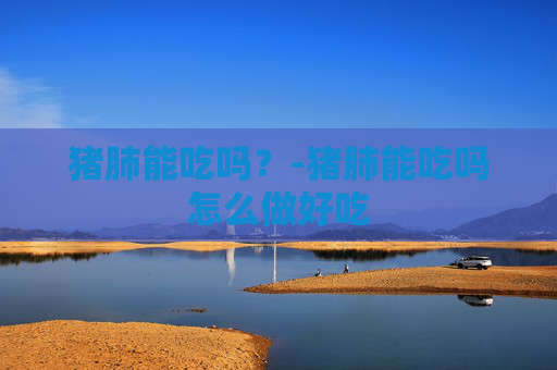 猪肺能吃吗？-猪肺能吃吗怎么做好吃