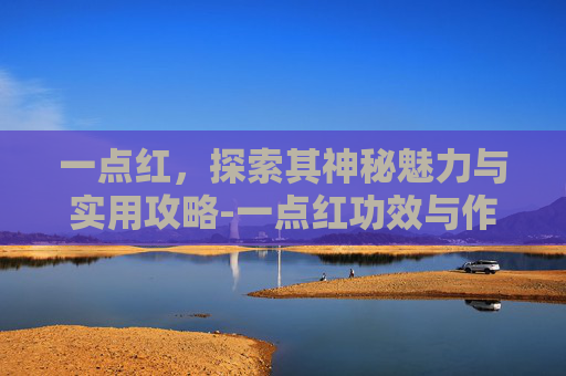 一点红，探索其神秘魅力与实用攻略-一点红功效与作用