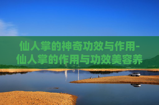 仙人掌的神奇功效与作用-仙人掌的作用与功效美容养颜