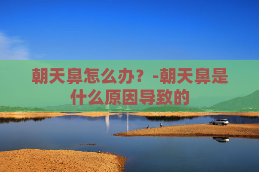 朝天鼻怎么办?-朝天鼻是什么原因导致的 朝天鼻怎么办?-朝天鼻是什么原因导致的