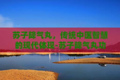 苏子降气丸，传统中医智慧的现代体现-苏子降气丸功效与主治