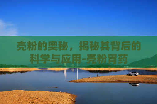 壳粉的奥秘，揭秘其背后的科学与应用-壳粉胃药