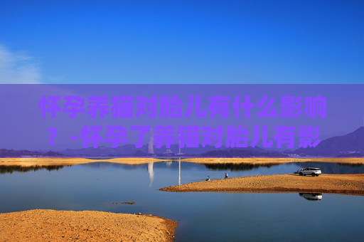 怀孕养猫对胎儿有什么影响?-怀孕了养猫对胎儿有影响吗 怀孕养猫对胎儿有什么影响?-怀孕了养猫对胎儿有影响吗