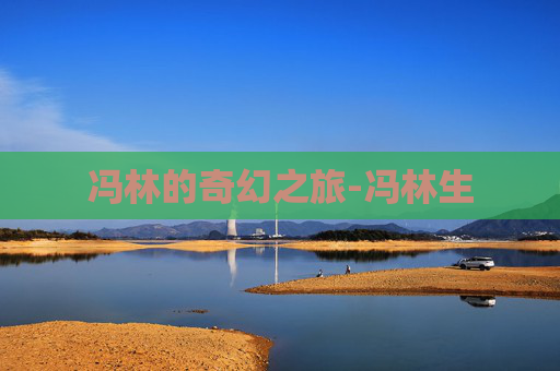 冯林的奇幻之旅-冯林生
