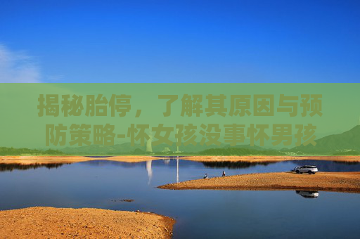 揭秘胎停，了解其原因与预防策略-怀女孩没事怀男孩就胎停怎么回事