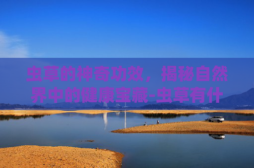 虫草的神奇功效，揭秘自然界中的健康宝藏-虫草有什么功效和作用