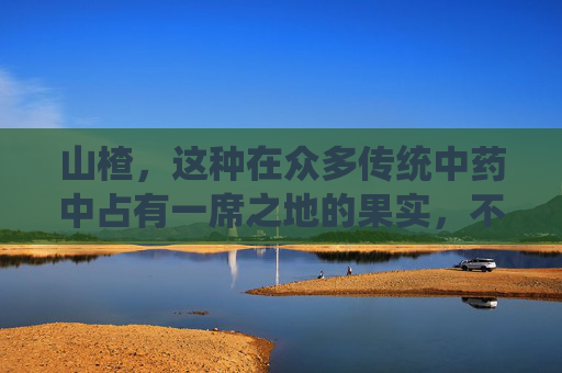 山楂，这种在众多传统中药中占有一席之地的果实，不仅因其独特的口感而广受欢迎，更因其丰富的药用价值而备受推崇。本文将深入探讨山楂的作用，并结合现代研究为您揭示其背后的科学原理。-山楂作用与用途