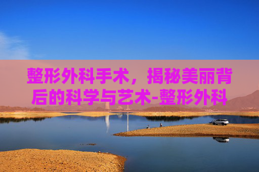 整形外科手术，揭秘美丽背后的科学与艺术-整形外科手术医保报销吗