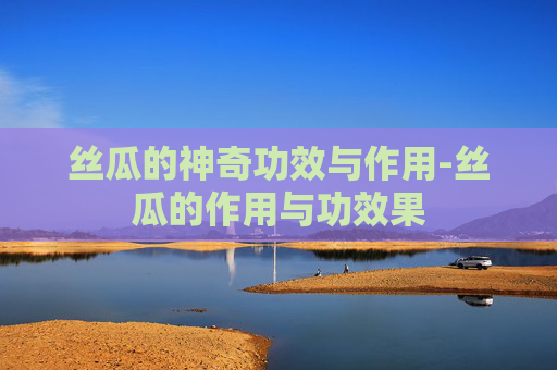丝瓜的神奇功效与作用-丝瓜的作用与功效果