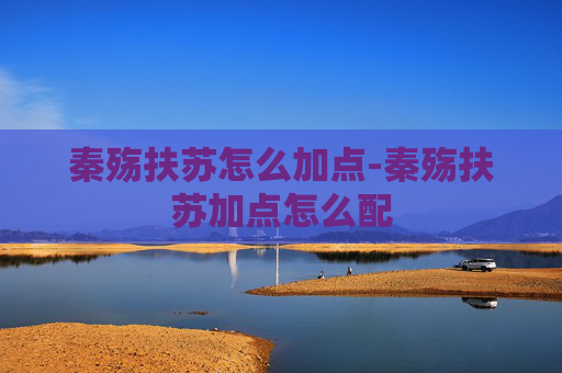 秦殇扶苏怎么加点-秦殇扶苏加点怎么配
