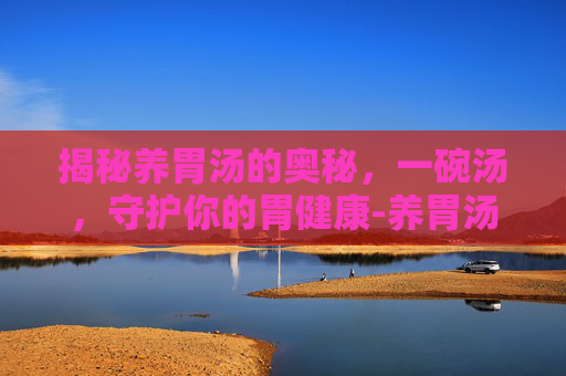 揭秘养胃汤的奥秘，一碗汤，守护你的胃健康-养胃汤有哪些好喝的