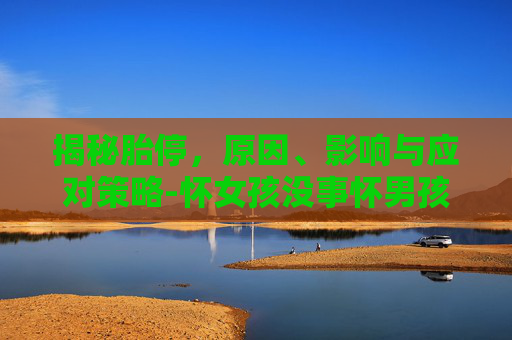 揭秘胎停，原因、影响与应对策略-怀女孩没事怀男孩就胎停怎么回事