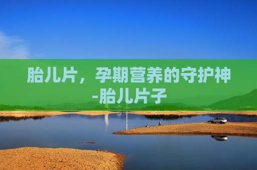 胎儿片，孕期营养的守护神-胎儿片子