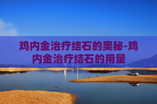 鸡内金治疗结石的奥秘-鸡内金治疗结石的用量