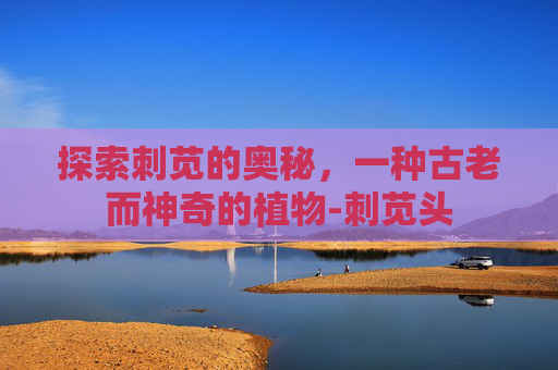 探索刺苋的奥秘，一种古老而神奇的植物-刺苋头