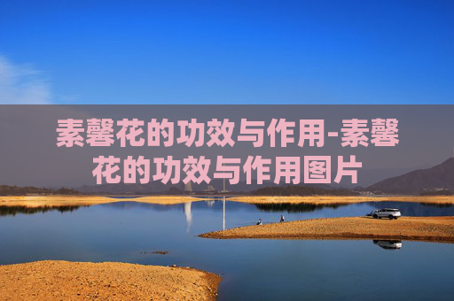 素馨花的功效与作用-素馨花的功效与作用图片