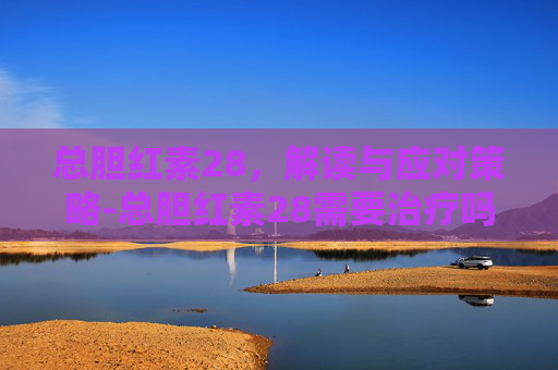 总胆红素28，解读与应对策略-总胆红素28需要治疗吗