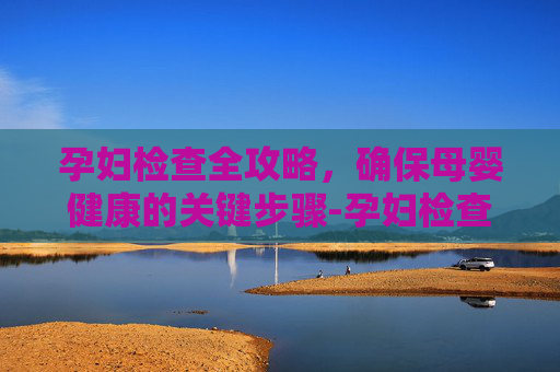 孕妇检查全攻略，确保母婴健康的关键步骤-孕妇检查流程