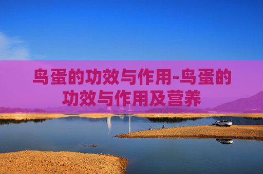 鸟蛋的功效与作用-鸟蛋的功效与作用及营养 鸟蛋的功效与作用-鸟蛋的功效与作用及营养