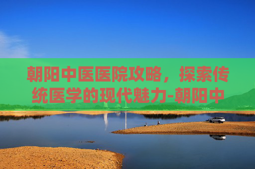 朝阳中医医院攻略，探索传统医学的现代魅力-朝阳中医医院在哪里