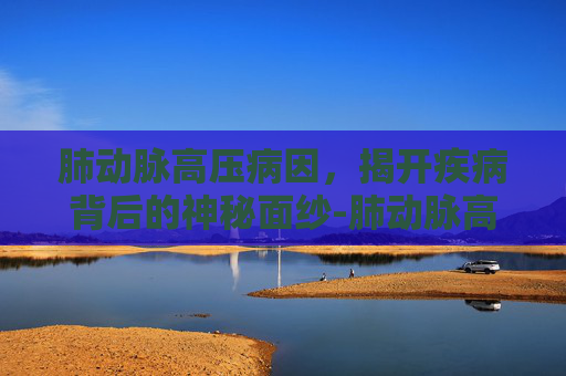 肺动脉高压病因，揭开疾病背后的神秘面纱-肺动脉高压病因及发病机制