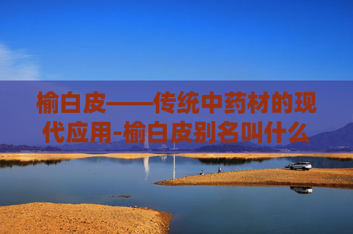 榆白皮——传统中药材的现代应用-榆白皮别名叫什么