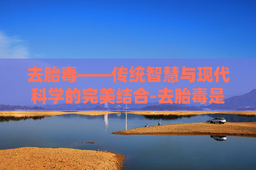 去胎毒——传统智慧与现代科学的完美结合-去胎毒是什么意思