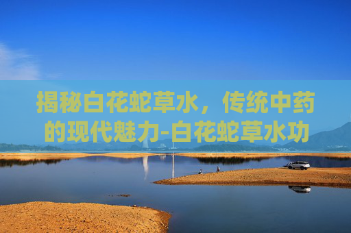 揭秘白花蛇草水，传统中药的现代魅力-白花蛇草水功效介绍