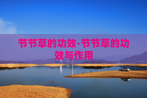 节节草的功效-节节草的功效与作用