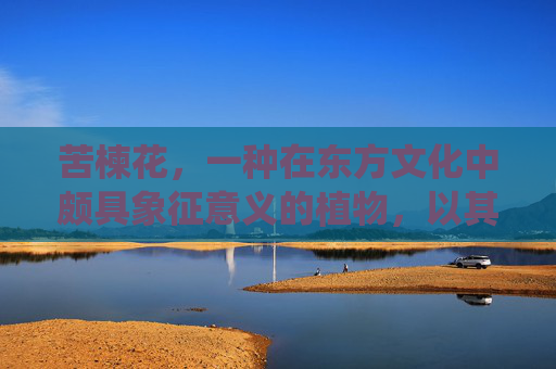 苦楝花，一种在东方文化中颇具象征意义的植物，以其独特的香气和色彩，常被用于传统医学和民间疗法。本文将深入探讨苦楝花的多种用途，从药用价值到装饰效果，再到其对环境的积极影响，全面揭示这一植物的多面性。-苦楝花图片