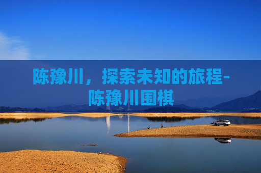 陈豫川，探索未知的旅程-陈豫川围棋