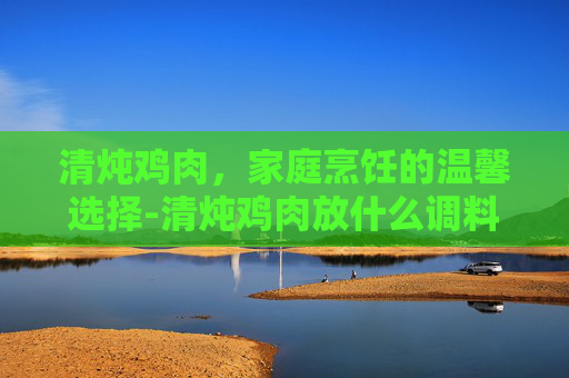 清炖鸡肉，家庭烹饪的温馨选择-清炖鸡肉放什么调料