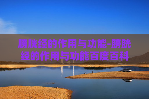 膀胱经的作用与功能-膀胱经的作用与功能百度百科