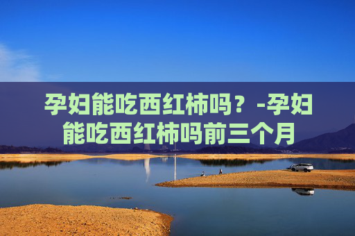 孕妇能吃西红柿吗?-孕妇能吃西红柿吗前三个月 孕妇能吃西红柿吗?-孕妇能吃西红柿吗前三个月