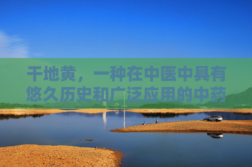 干地黄，一种在中医中具有悠久历史和广泛应用的中药材。它不仅能够清热解毒、凉血止血，还有助于滋阴润燥、养肝明目。本文将为您详细介绍干地黄的相关知识，包括其来源、功效与应用，以及如何正确选购和使用干地黄。-干地黄别名
