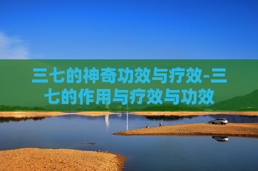 三七的神奇功效与疗效-三七的作用与疗效与功效