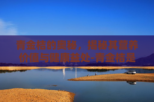 青金桔的奥秘，揭秘其营养价值与健康益处-青金桔是小青柠吗