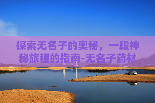 探索无名子的奥秘，一段神秘旅程的指南-无名子药材图片
