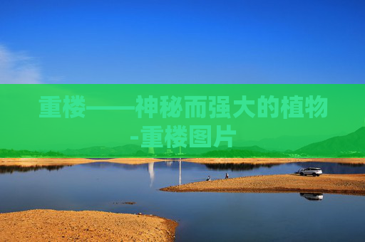 重楼——神秘而强大的植物-重楼图片