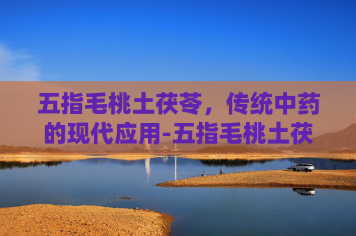五指毛桃土茯苓，传统中药的现代应用-五指毛桃土茯苓祛湿汤
