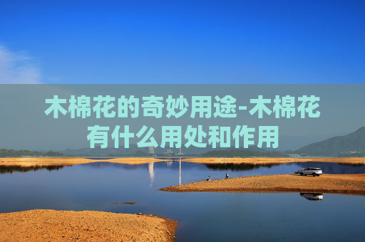 木棉花的奇妙用途-木棉花有什么用处和作用