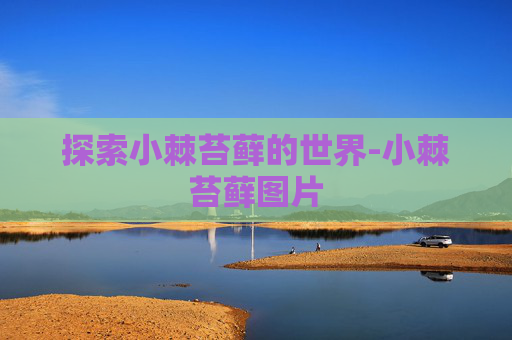 探索小棘苔藓的世界-小棘苔藓图片