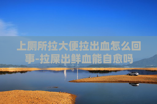 上厕所拉大便拉出血怎么回事-拉屎出鲜血能自愈吗