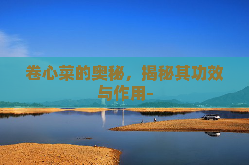 卷心菜的奥秘，揭秘其功效与作用-