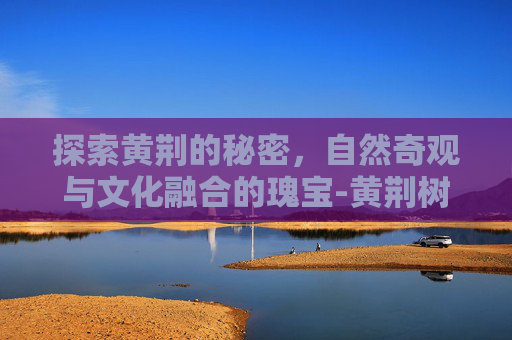 探索黄荆的秘密，自然奇观与文化融合的瑰宝-黄荆树苗图片